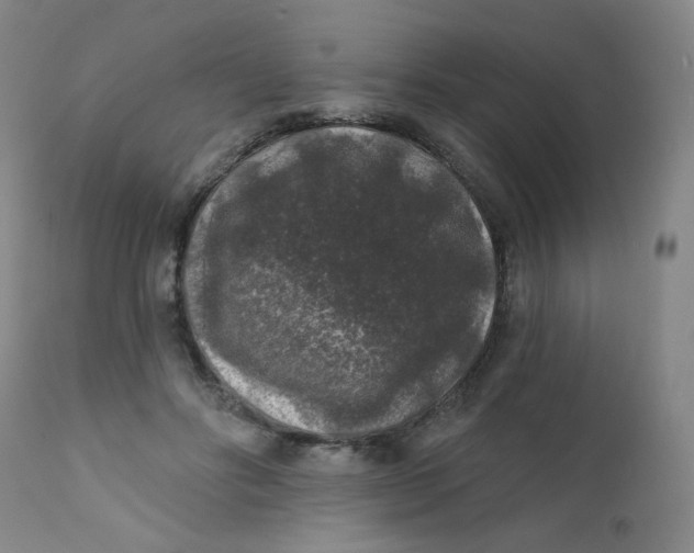 X0000112420502200909041415