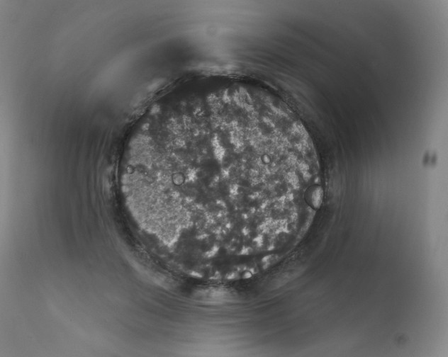 X0000112420503200909041415