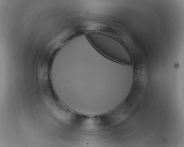 X0000112420504200909041415