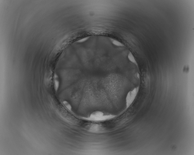 X0000112420507200909041415