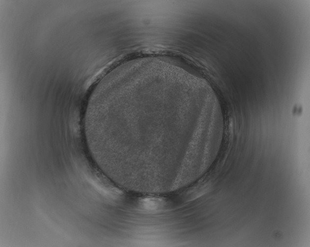 X0000112420508200909041415