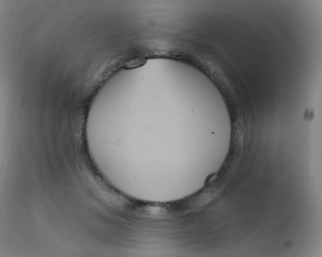 X0000112420509200909041415