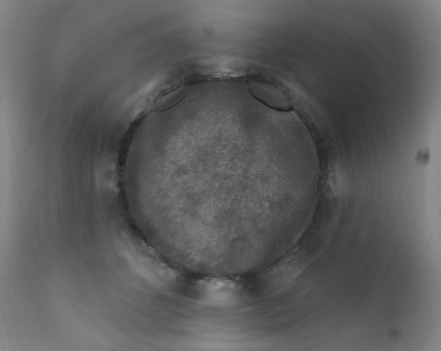 X0000112420512200909041415