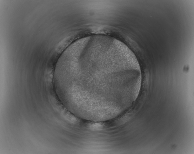 X0000112420513200909041415