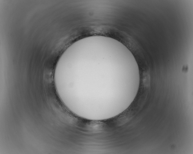 X0000112420514200909041415