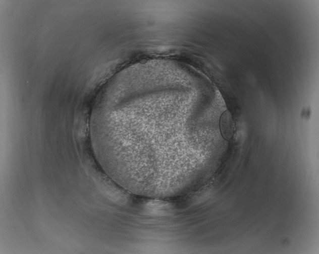 X0000112420515200909041415