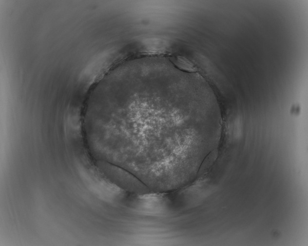 X0000112420516200909041415