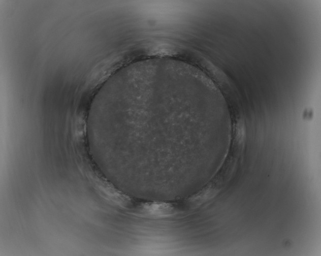 X0000112420517200909041415