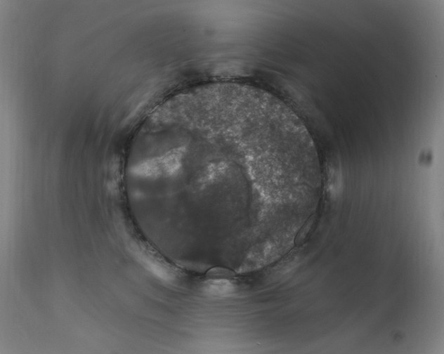 X0000112420519200909041415