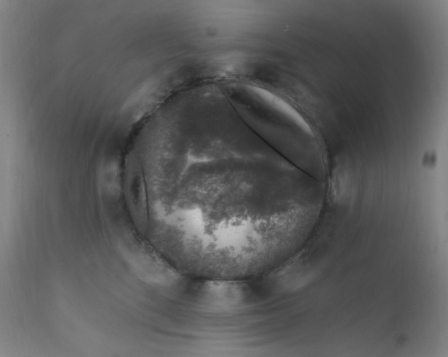 X0000112420520200909041415