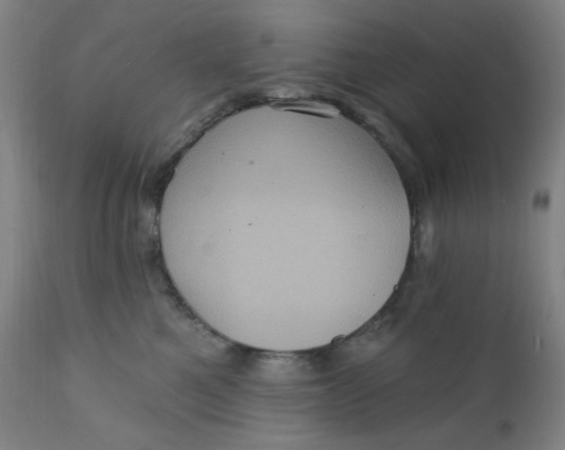 X0000112420521200909041415