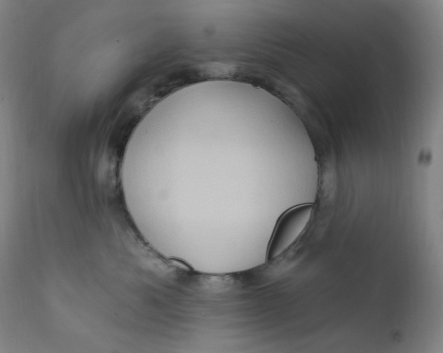 X0000112420525200909041415