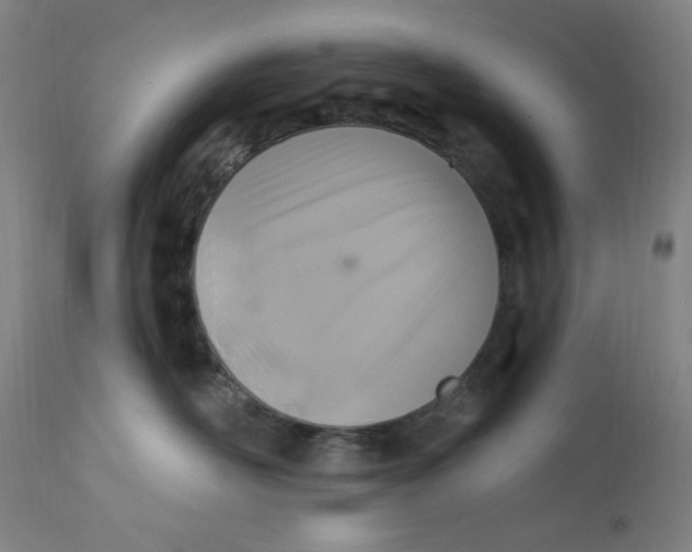 X0000112420526200909041415