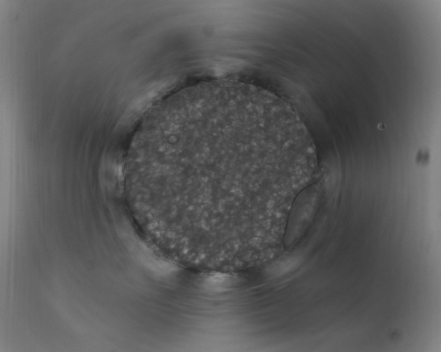 X0000112420527200909041415