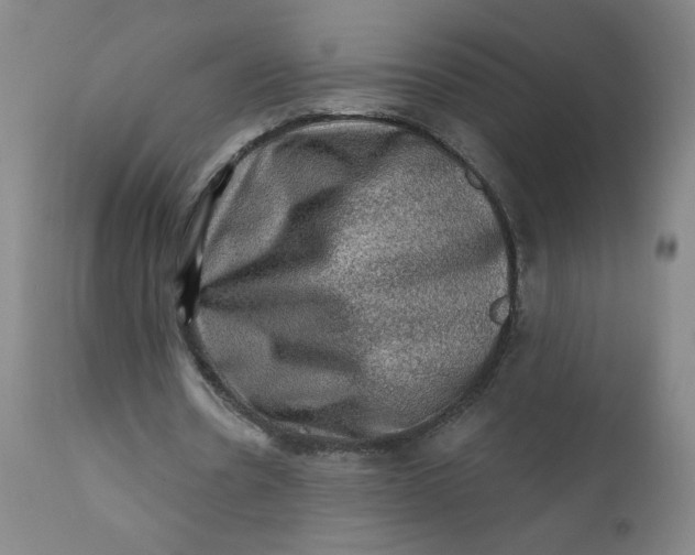 X0000112420530200909041414