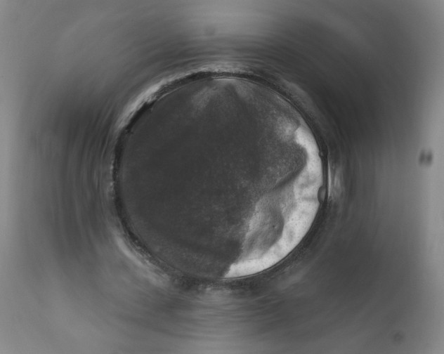 X0000112420531200909041414