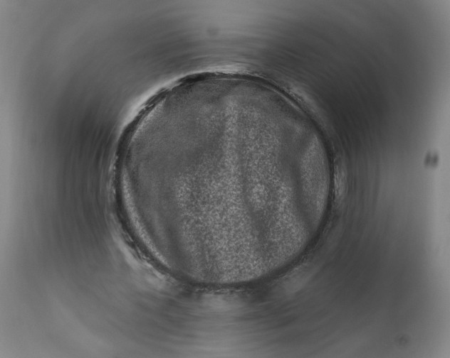 X0000112420532200909041414