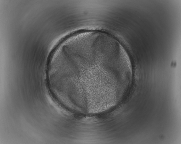 X0000112420536200909041414