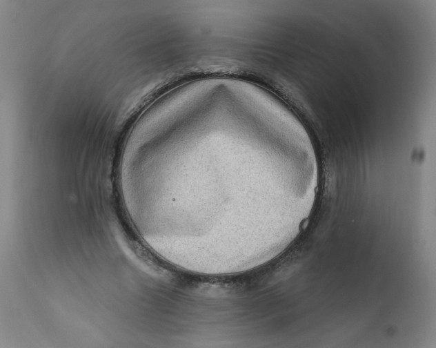 X0000112420538200909041414