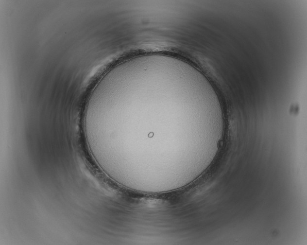 X0000112420539200909041414