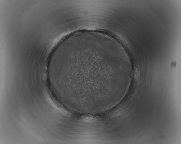 X0000112420540200909041414