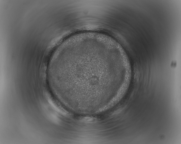 X0000112420542200909041414