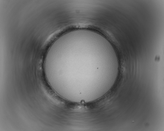 X0000112420543200909041414