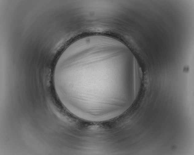 X0000112420544200909041414