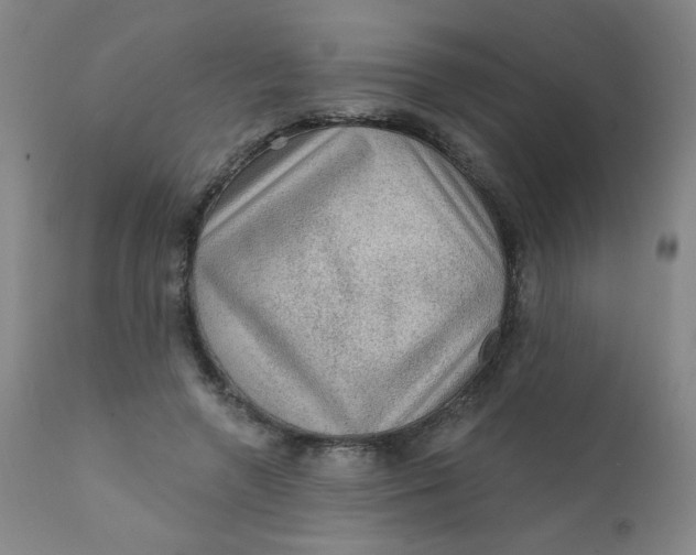 X0000112420546200909041414