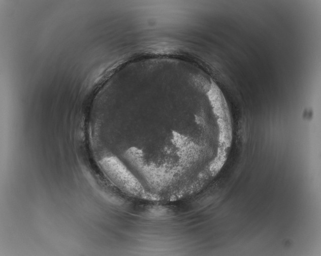 X0000112420547200909041414