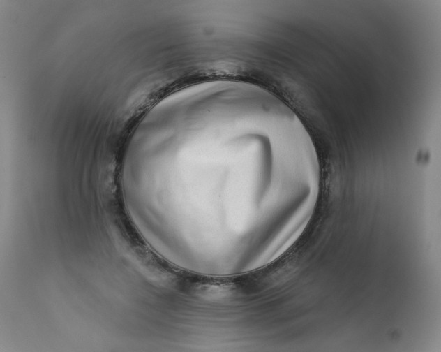 X0000112420548200909041415