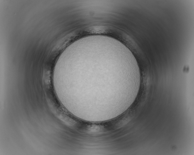 X0000112420549200909041415