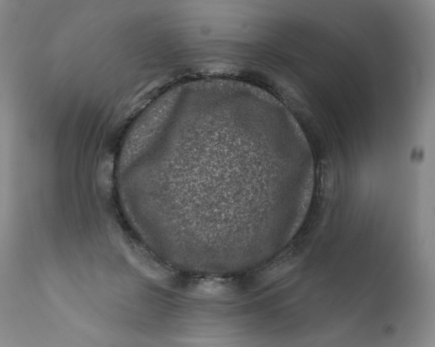 X0000112420550200909041415