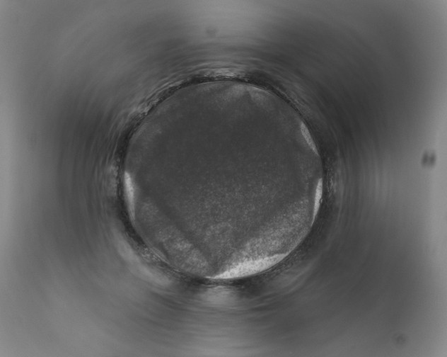 X0000112420551200909041415