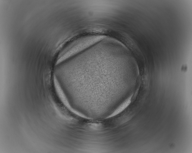 X0000112420552200909041415