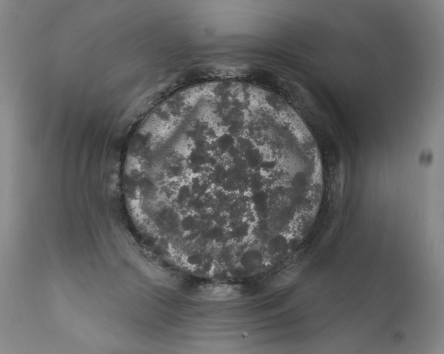 X0000112420553200909041415