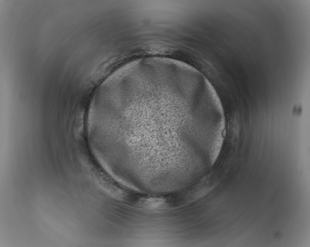 X0000112420554200909041415