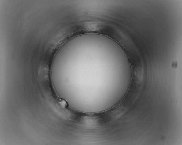 X0000112420556200909041415