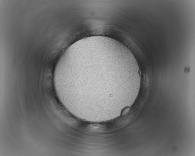 X0000112420557200909041415