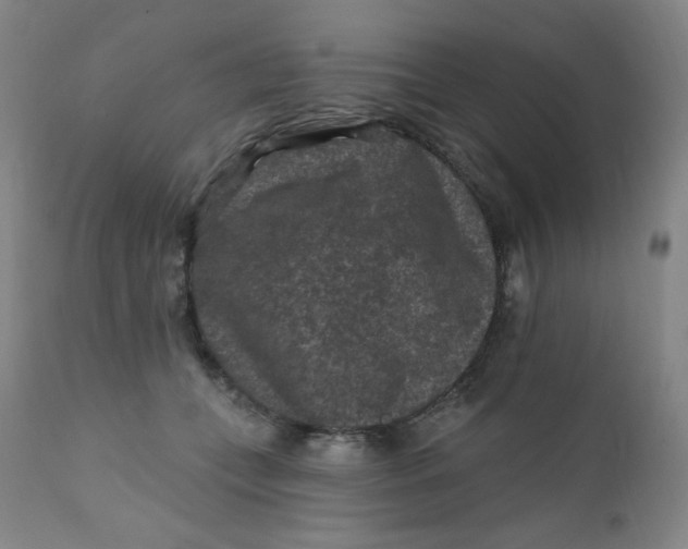 X0000112420559200909041415