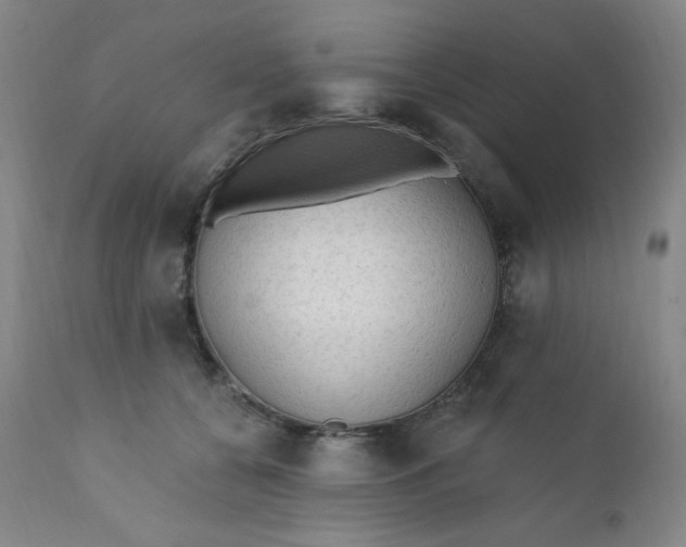 X0000112420560200909041415