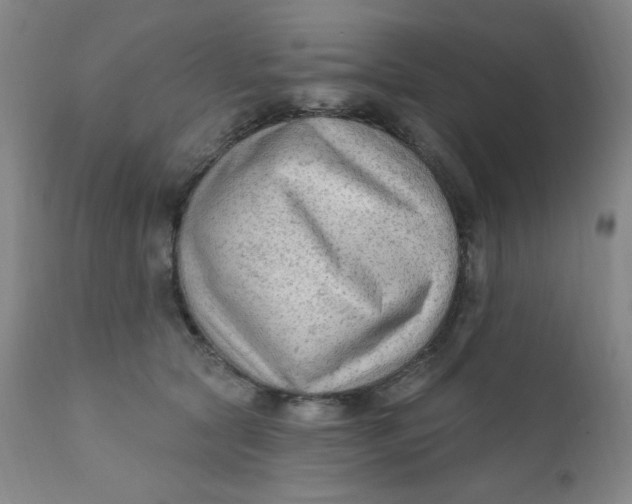 X0000112420561200909041415