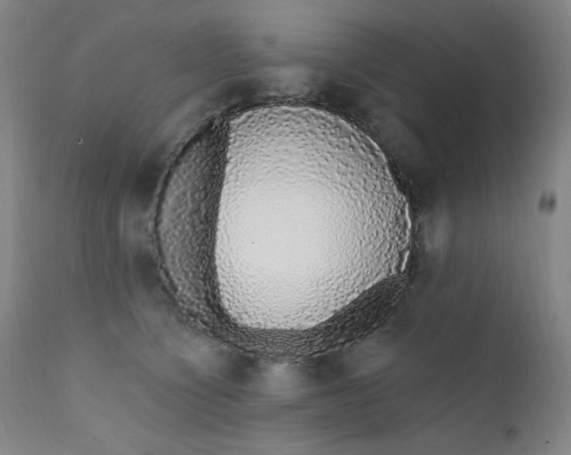 X0000112420564200909041415