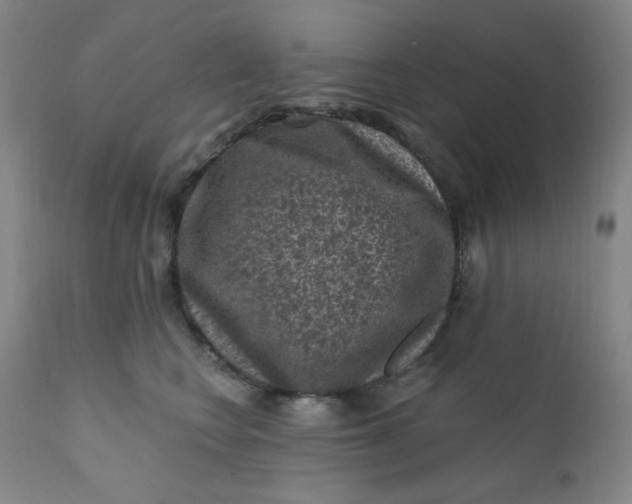 X0000112420566200909041415