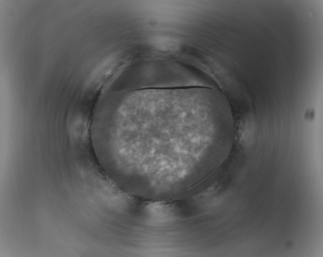 X0000112420568200909041415