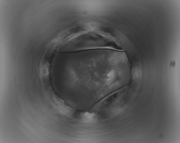 X0000112420570200909041415