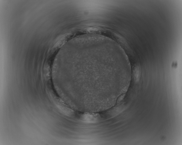 X0000112420571200909041415