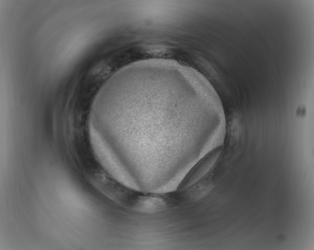 X0000112420572200909041415