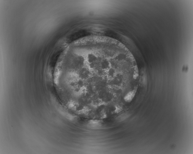 X0000112420573200909041415