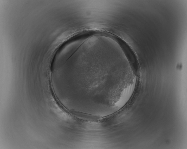 X0000112420577200909041414